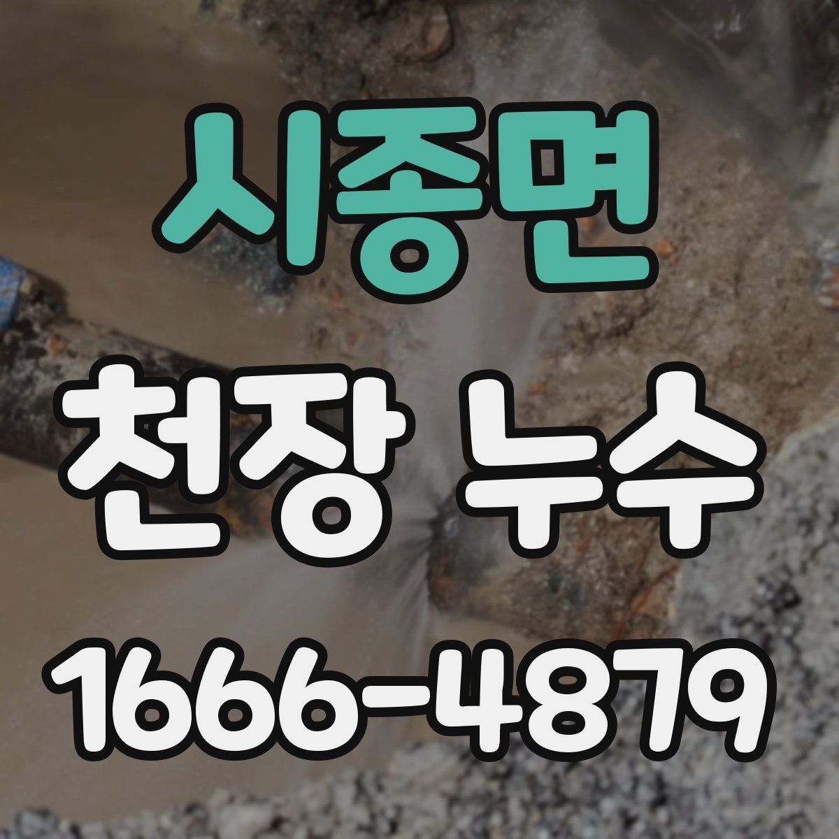 시종면 천장 누수