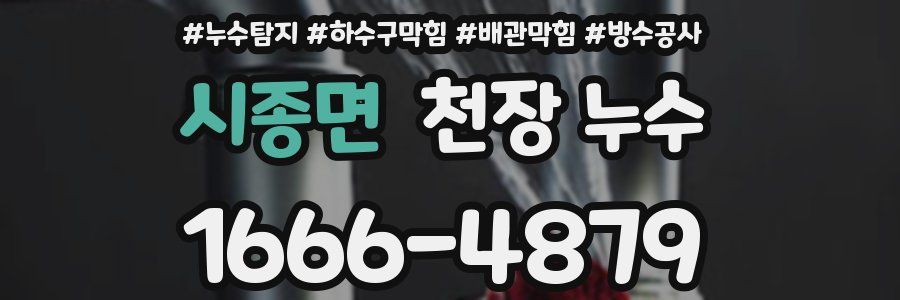 시종면 천장 누수