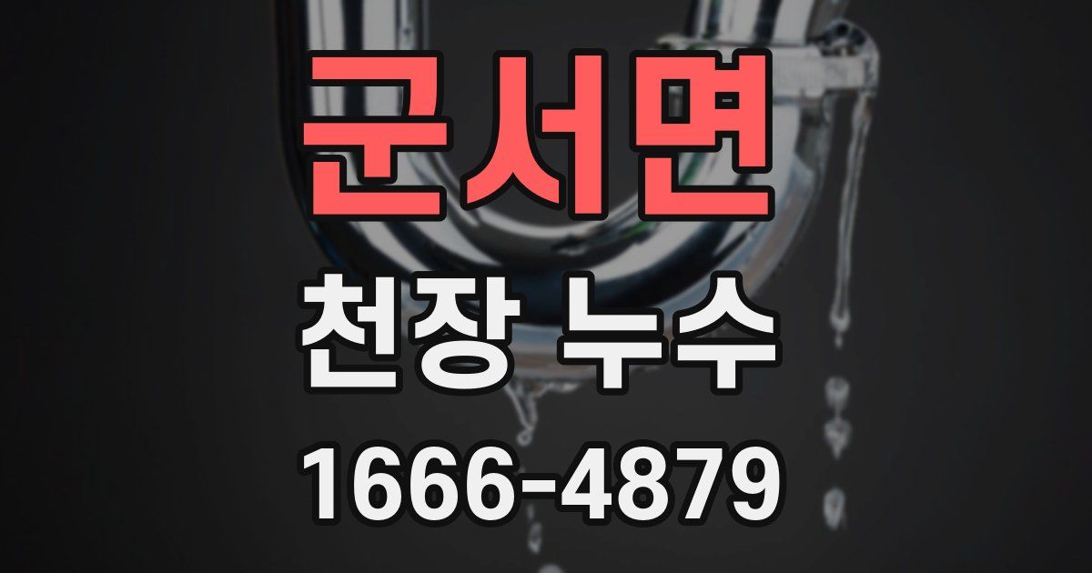 군서면 천장 누수