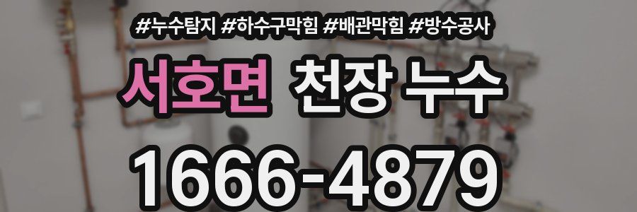 서호면 천장 누수