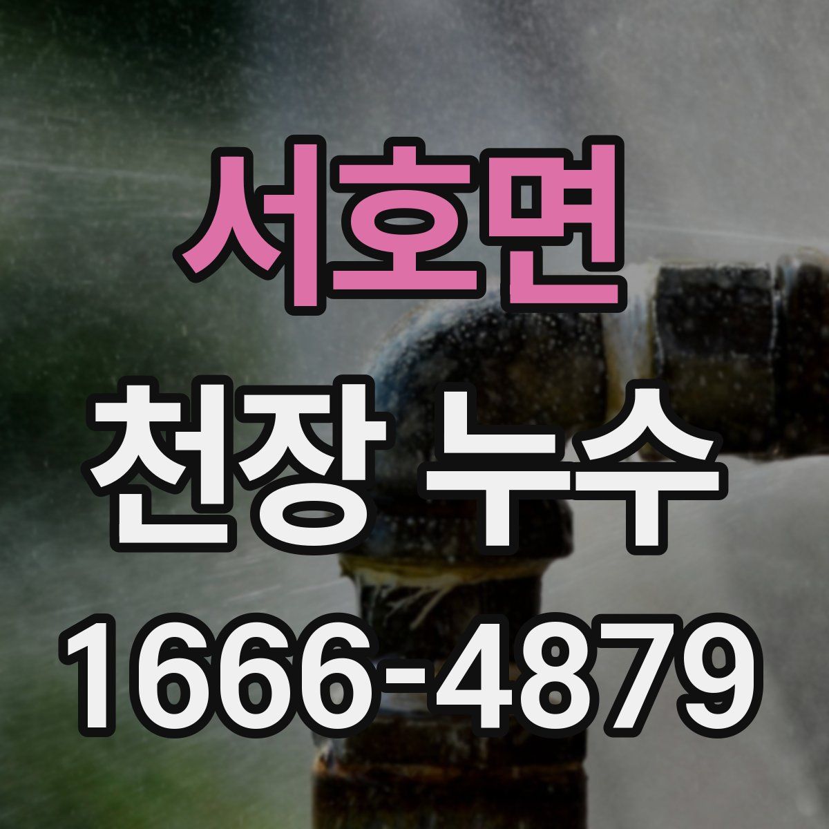 서호면 천장 누수