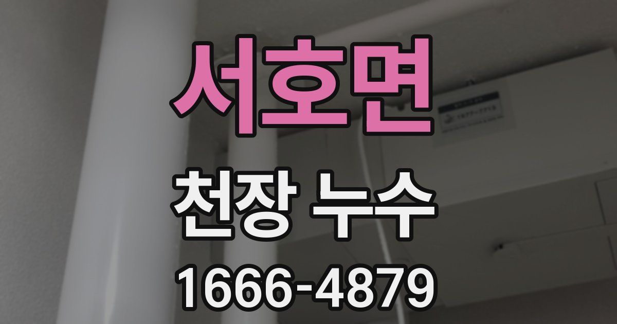 서호면 천장 누수