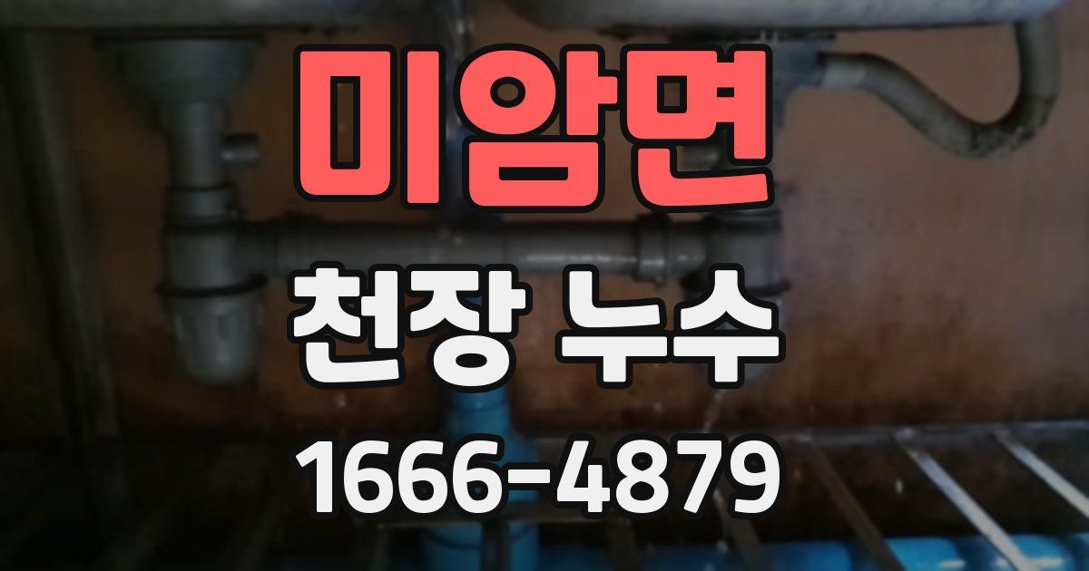 미암면 천장 누수