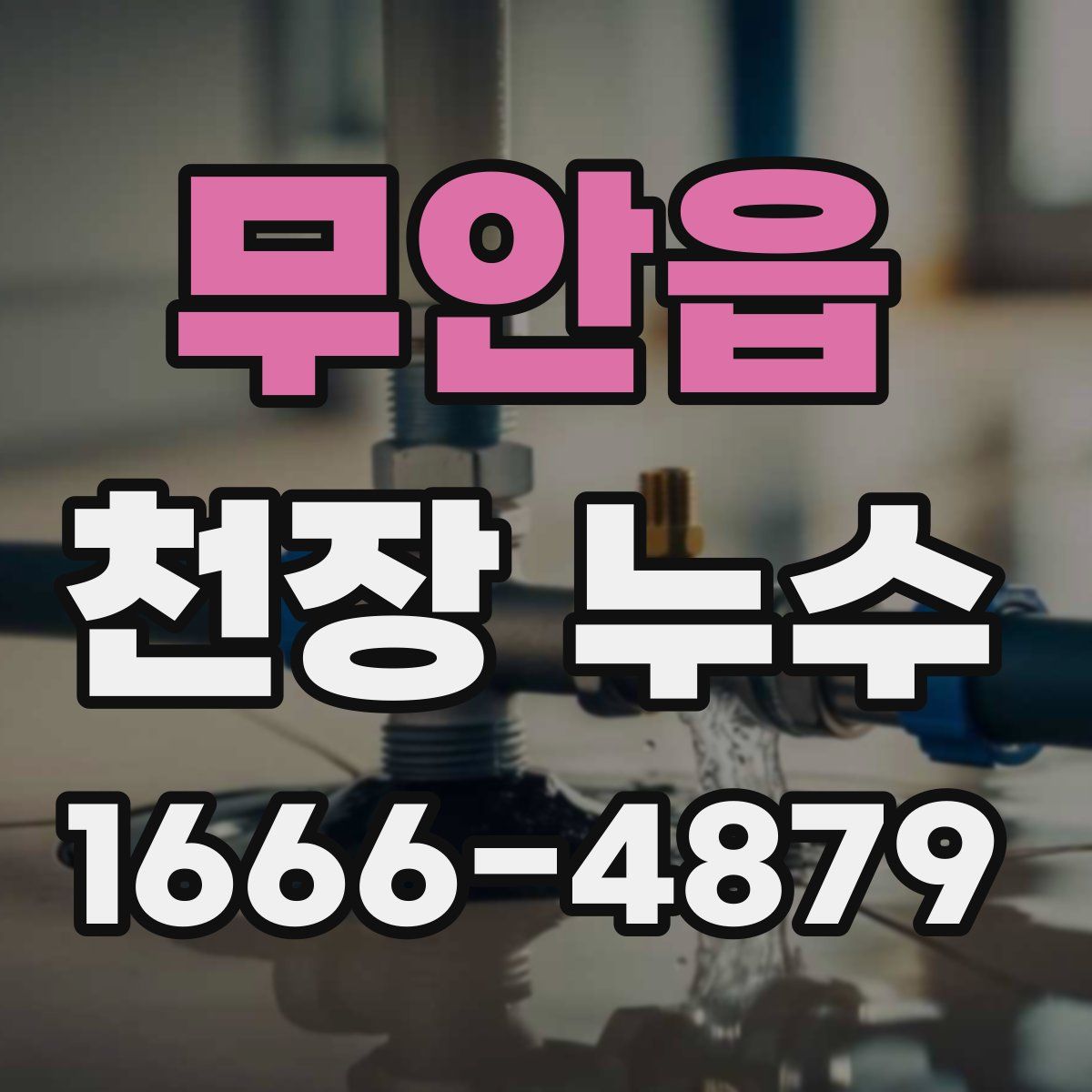 무안읍 천장 누수