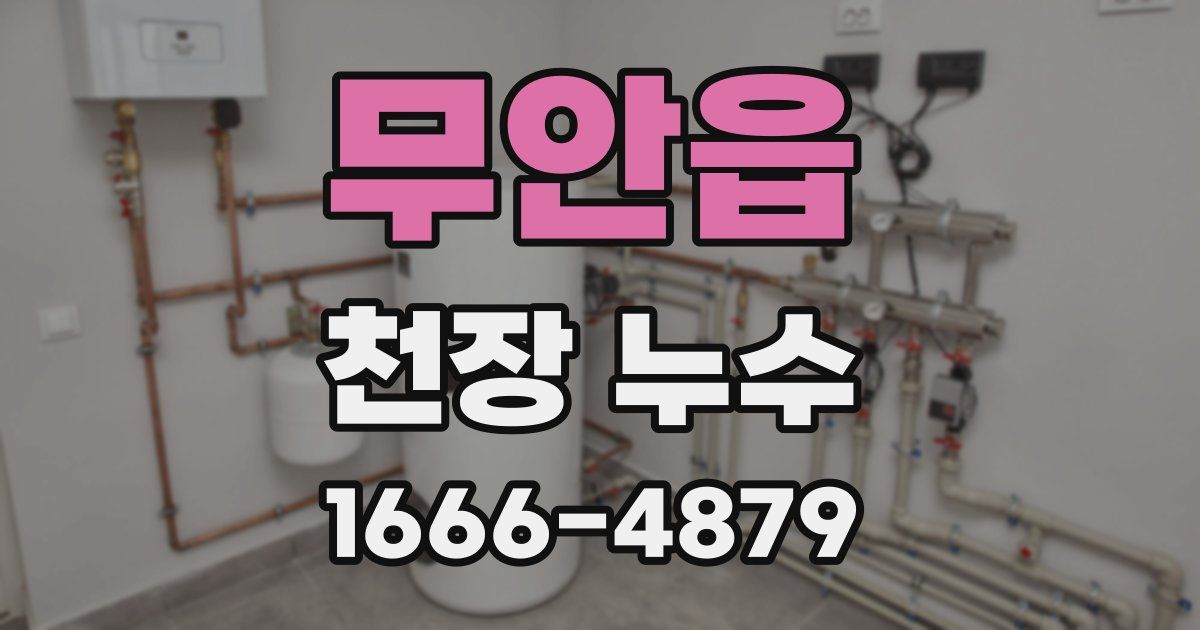 무안읍 천장 누수
