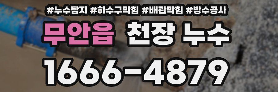 무안읍 천장 누수