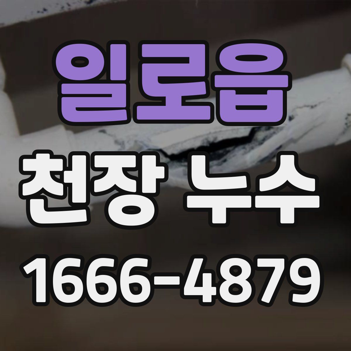 일로읍 천장 누수