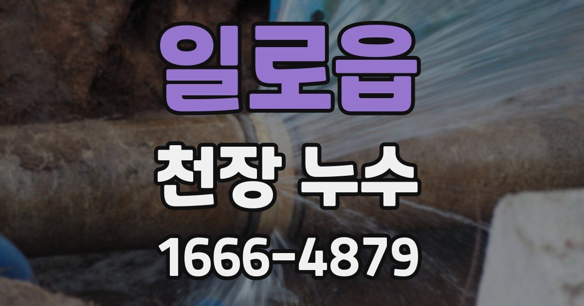 일로읍 천장 누수