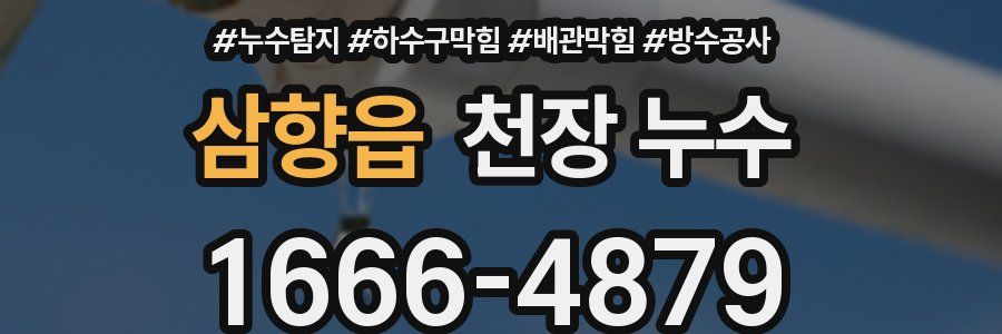 삼향읍 천장 누수