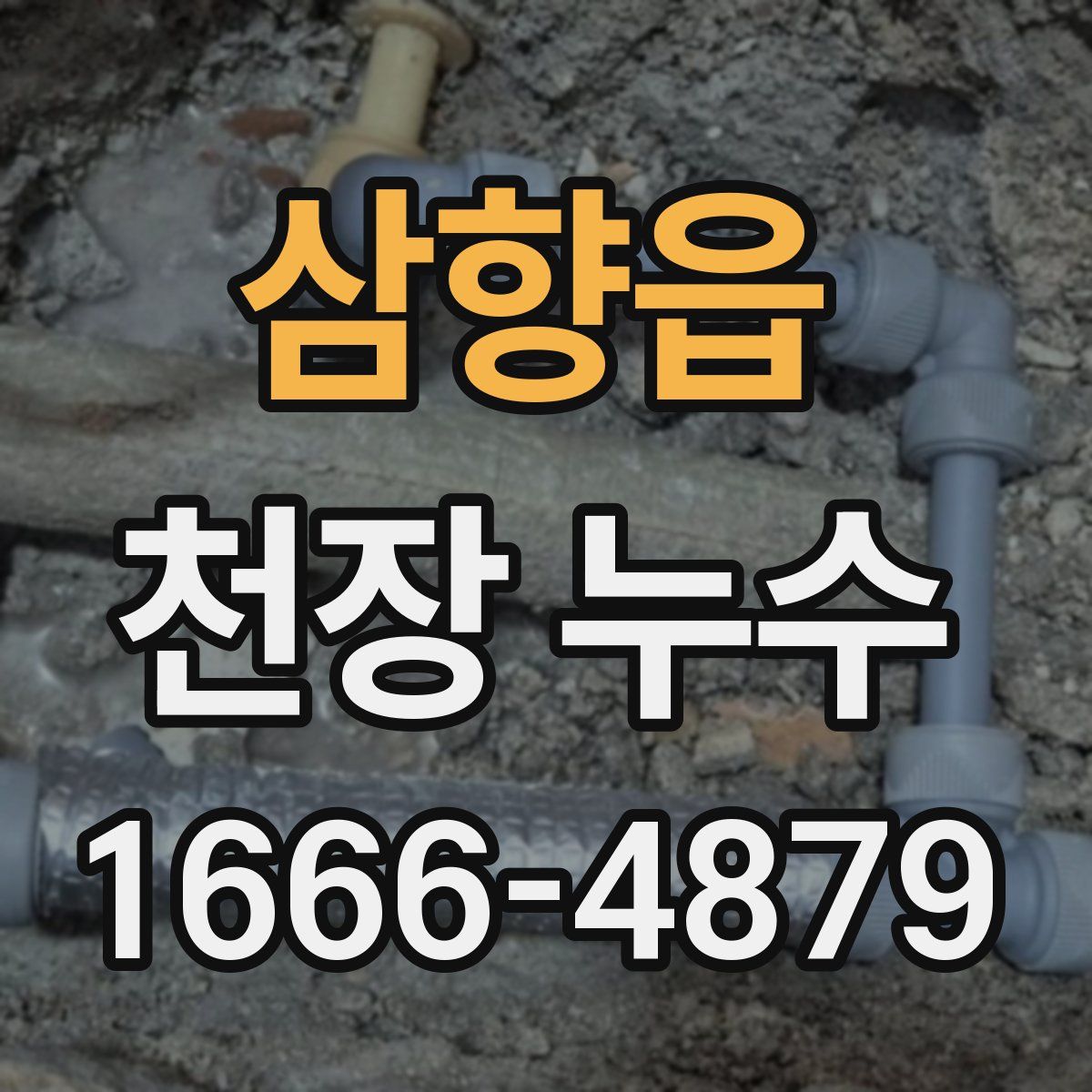 삼향읍 천장 누수