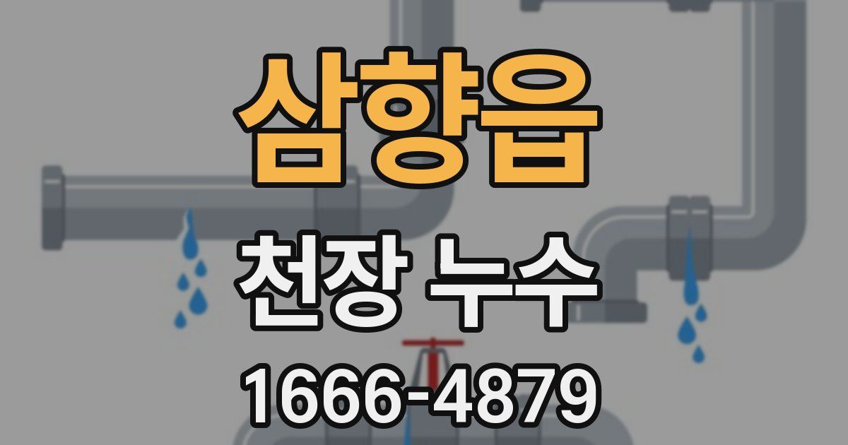 삼향읍 천장 누수