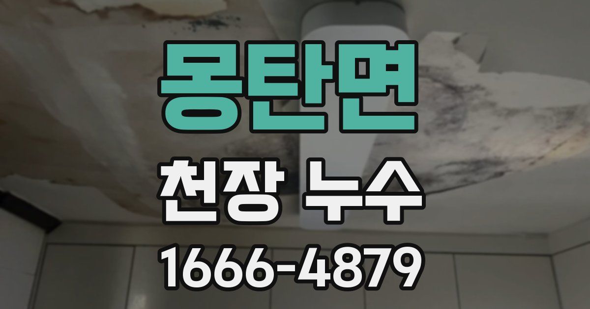 몽탄면 천장 누수