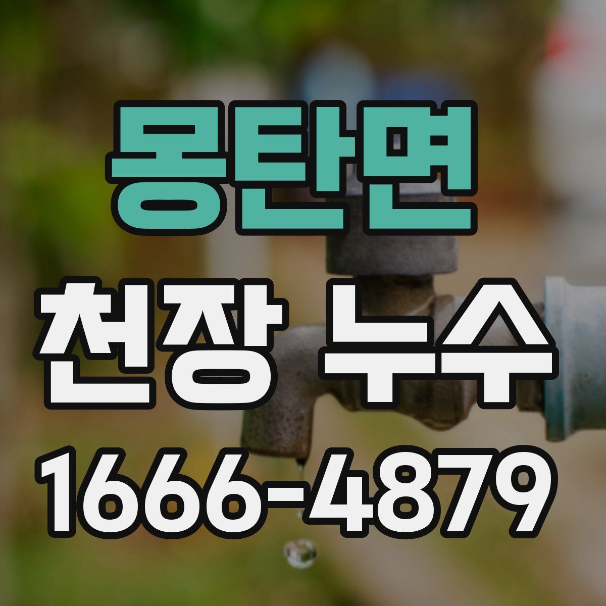 몽탄면 천장 누수