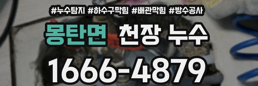몽탄면 천장 누수
