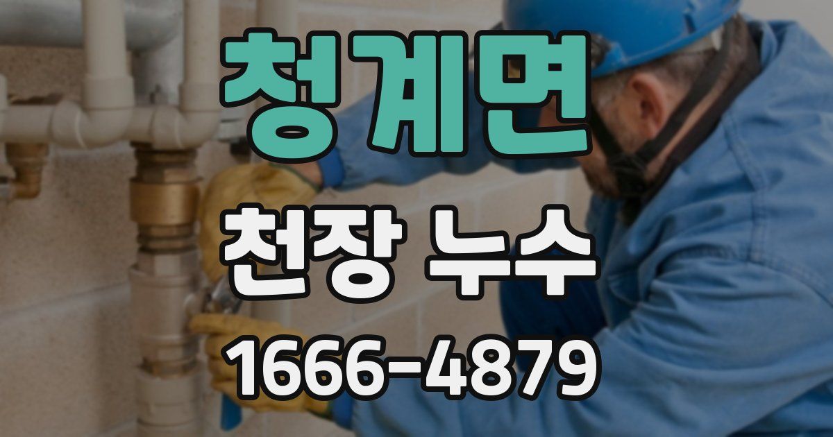 청계면 천장 누수