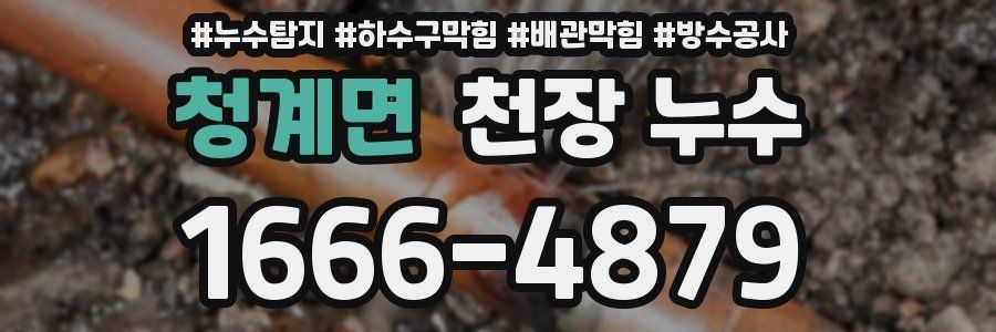 청계면 천장 누수