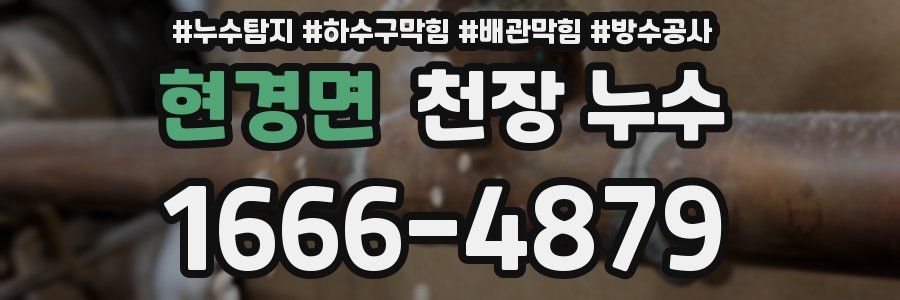 현경면 천장 누수