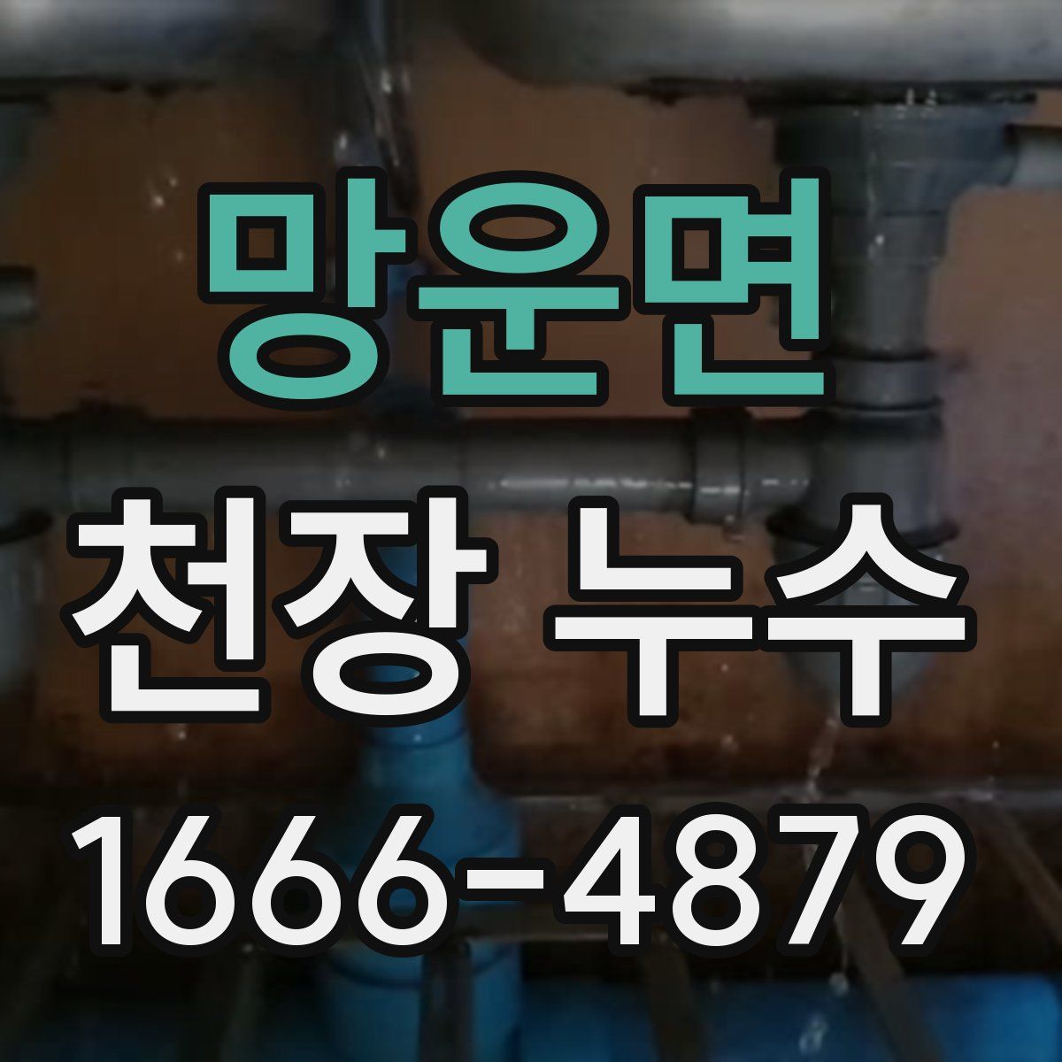 망운면 천장 누수
