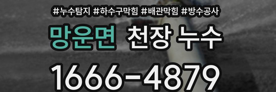 망운면 천장 누수