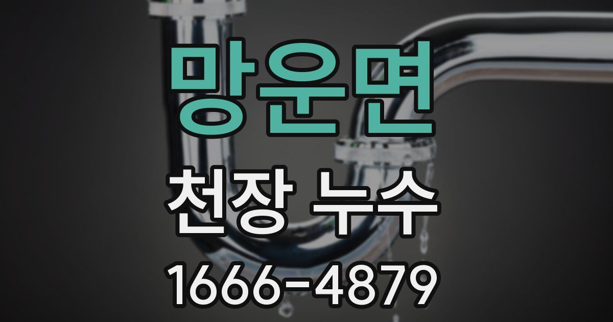 망운면 천장 누수