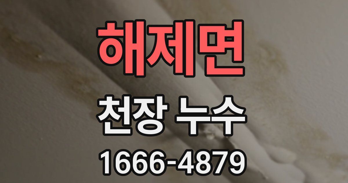 해제면 천장 누수