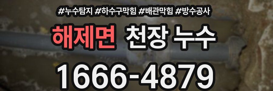 해제면 천장 누수