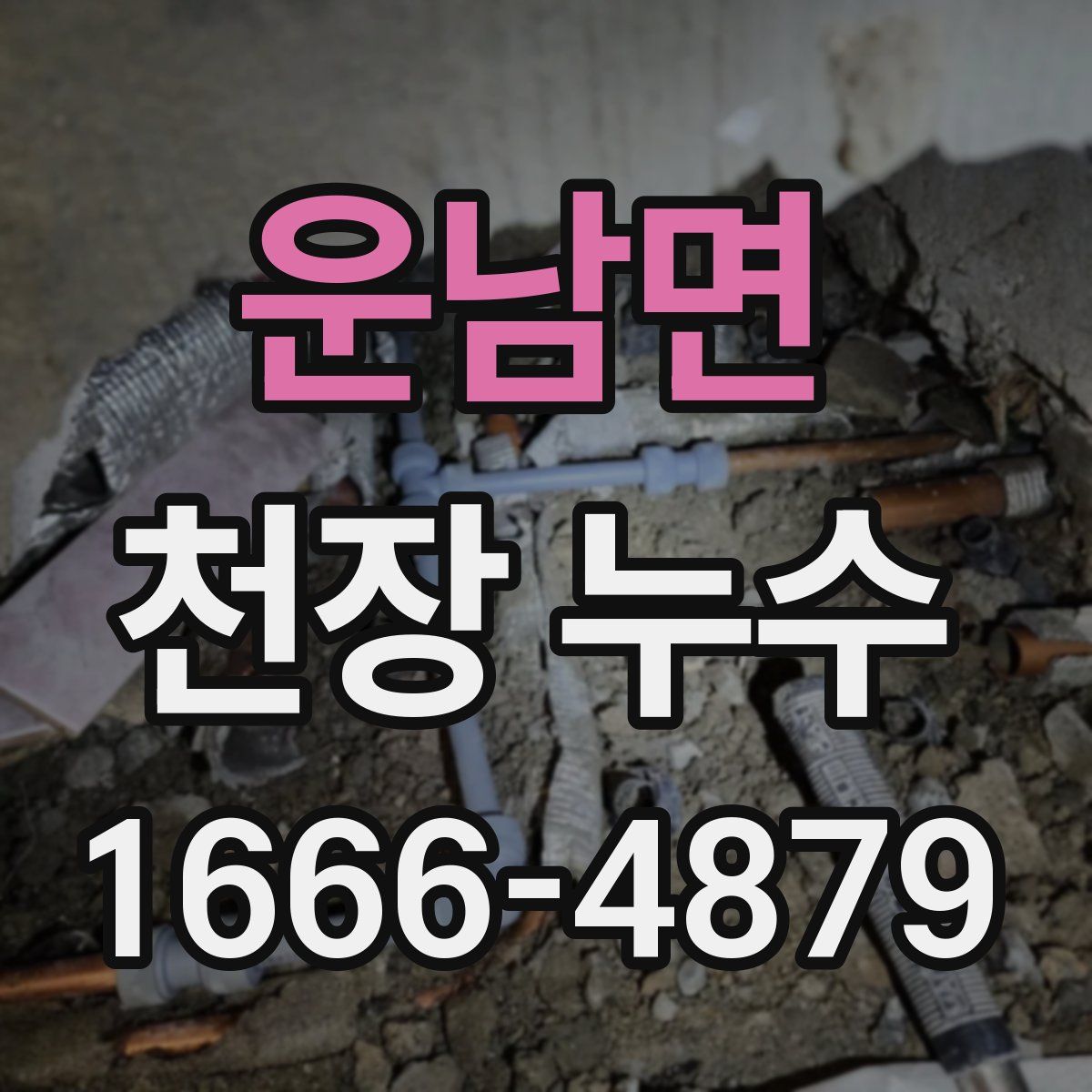 운남면 천장 누수