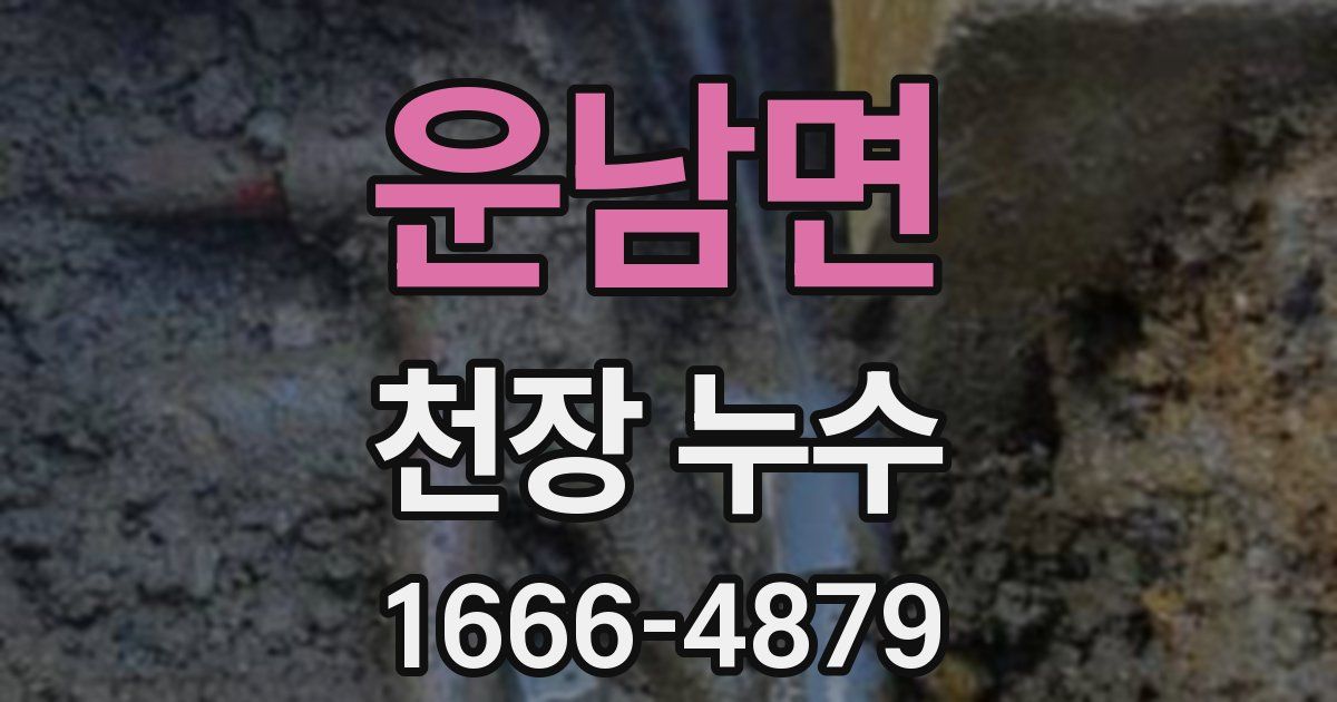 운남면 천장 누수