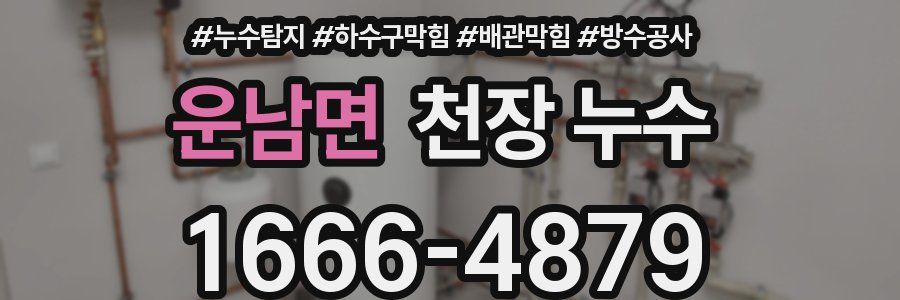 운남면 천장 누수