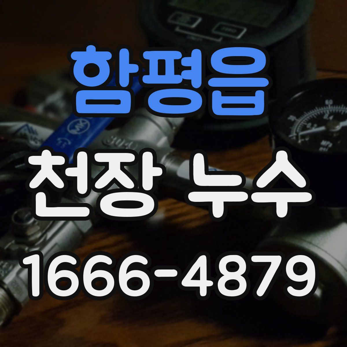 함평읍 천장 누수