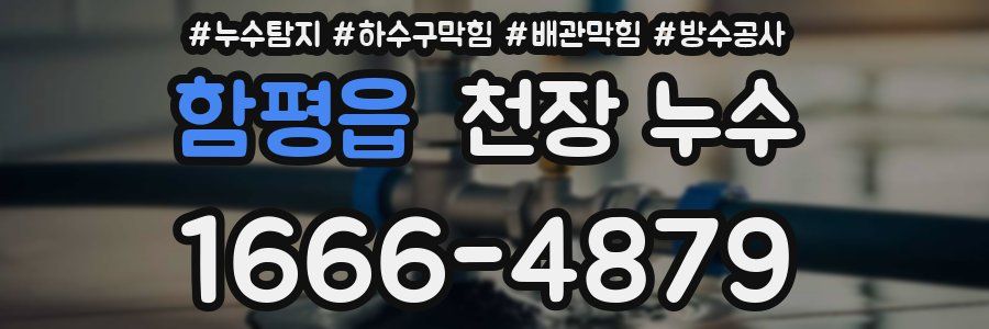 함평읍 천장 누수