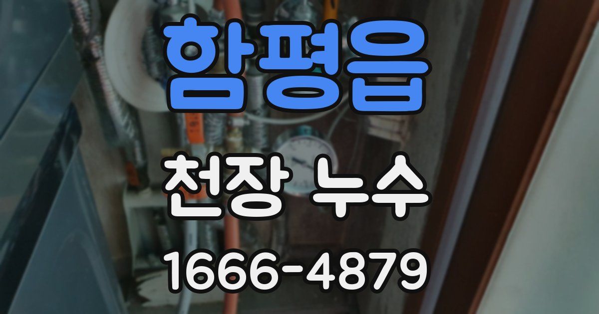 함평읍 천장 누수