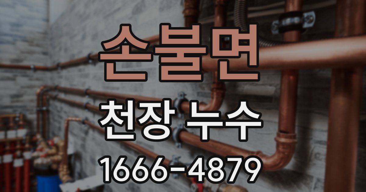 손불면 천장 누수