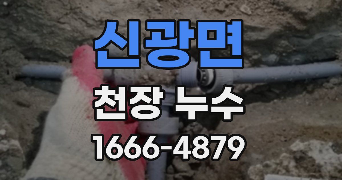 신광면 천장 누수