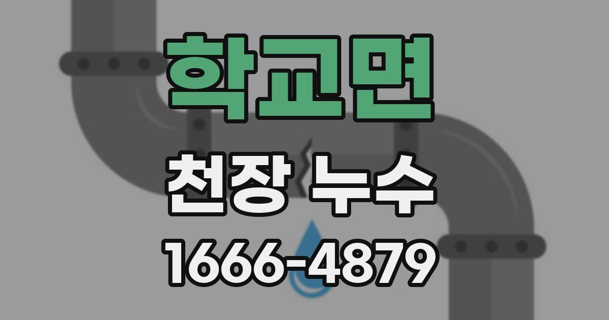학교면 천장 누수