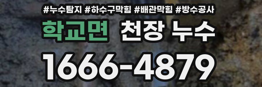학교면 천장 누수