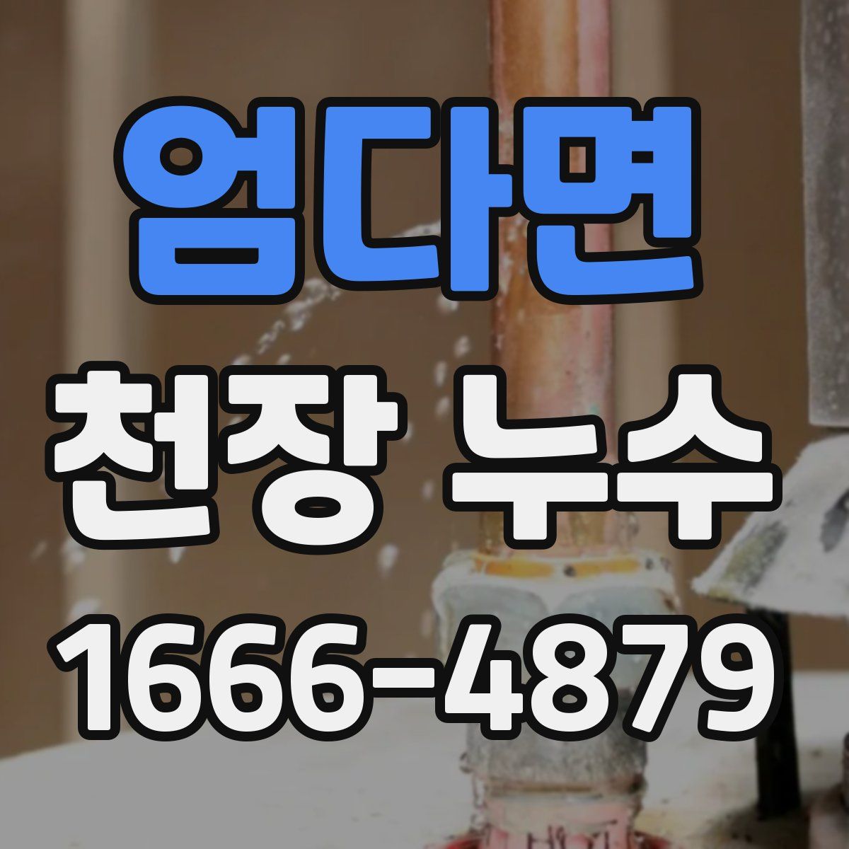 엄다면 천장 누수
