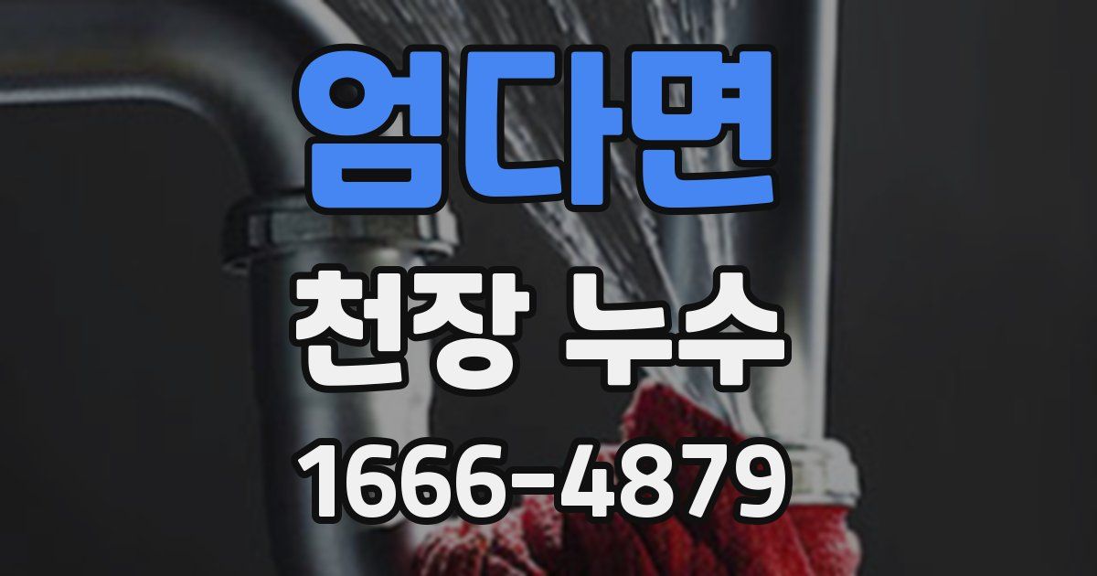 엄다면 천장 누수