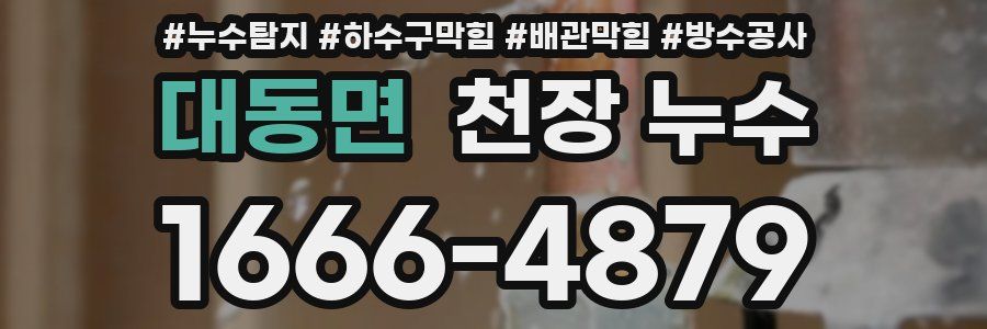 대동면 천장 누수