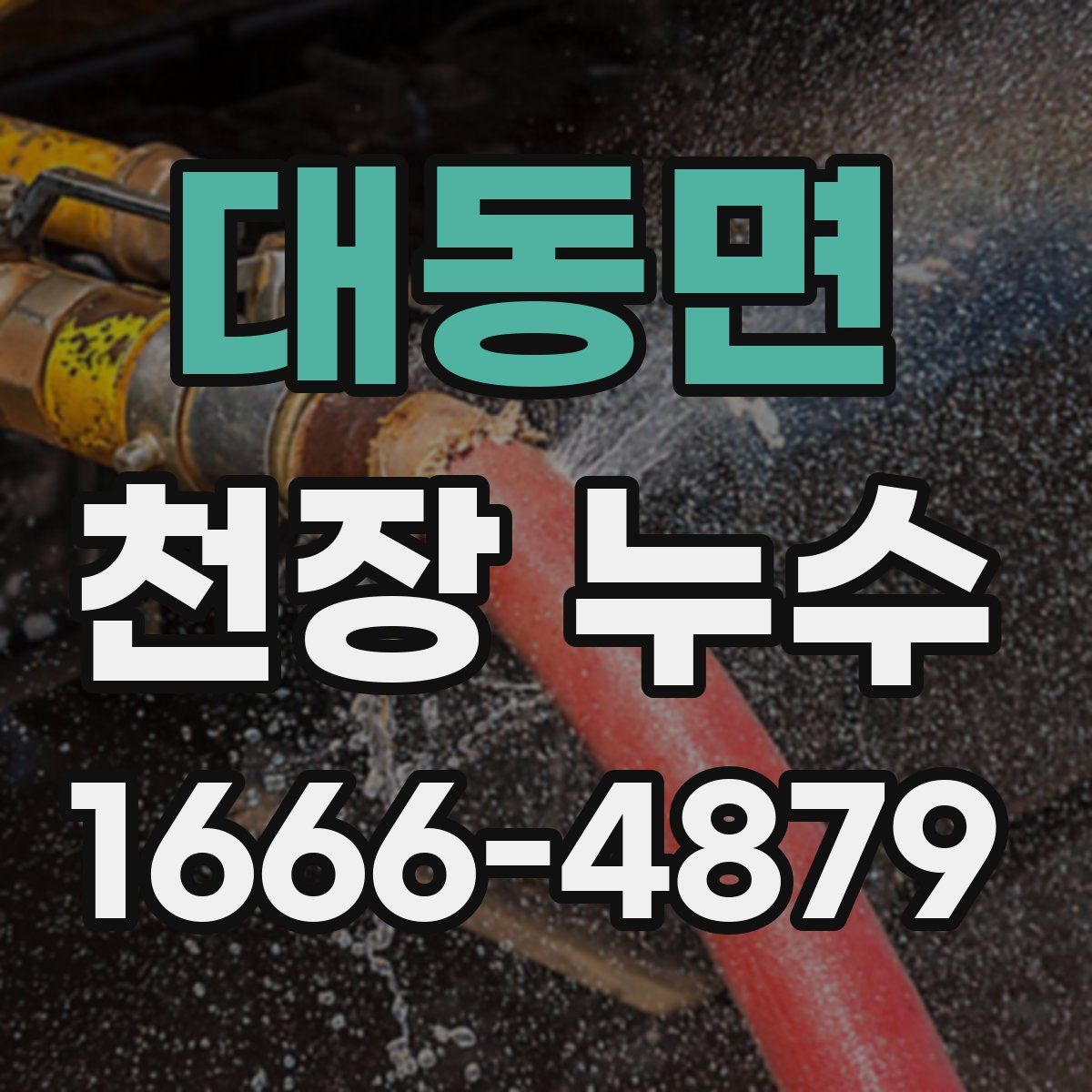 대동면 천장 누수