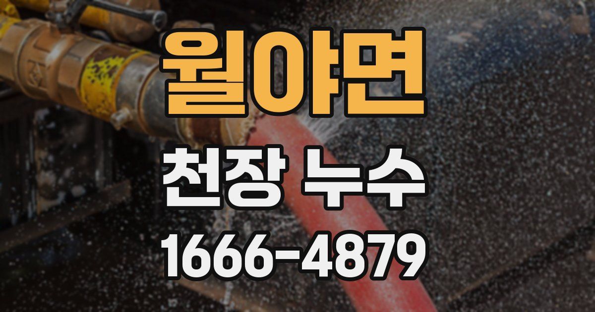 월야면 천장 누수