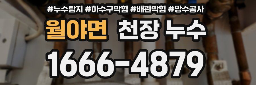 월야면 천장 누수