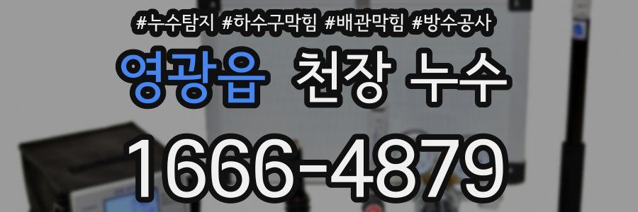 영광읍 천장 누수