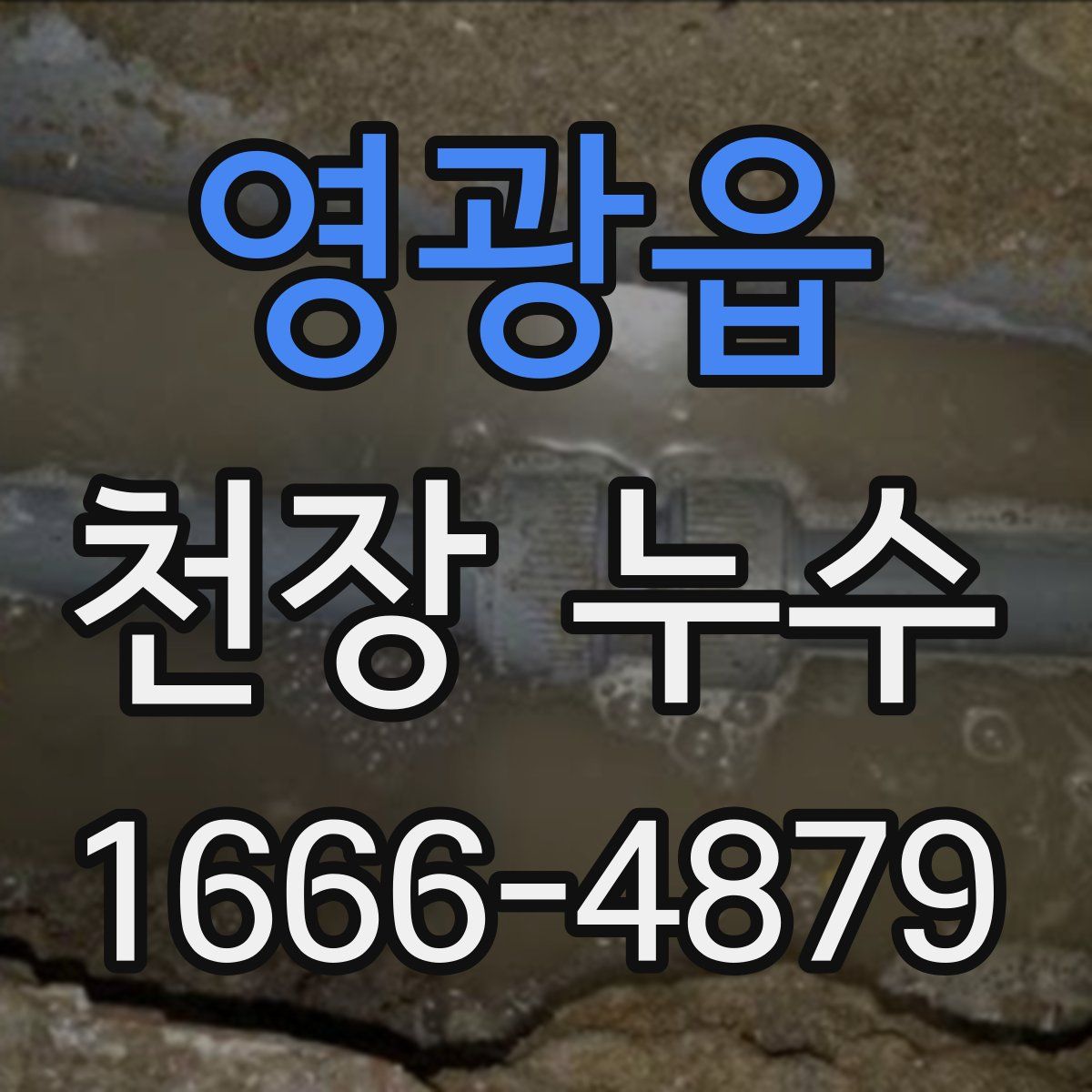 영광읍 천장 누수