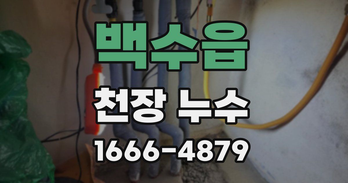 백수읍 천장 누수
