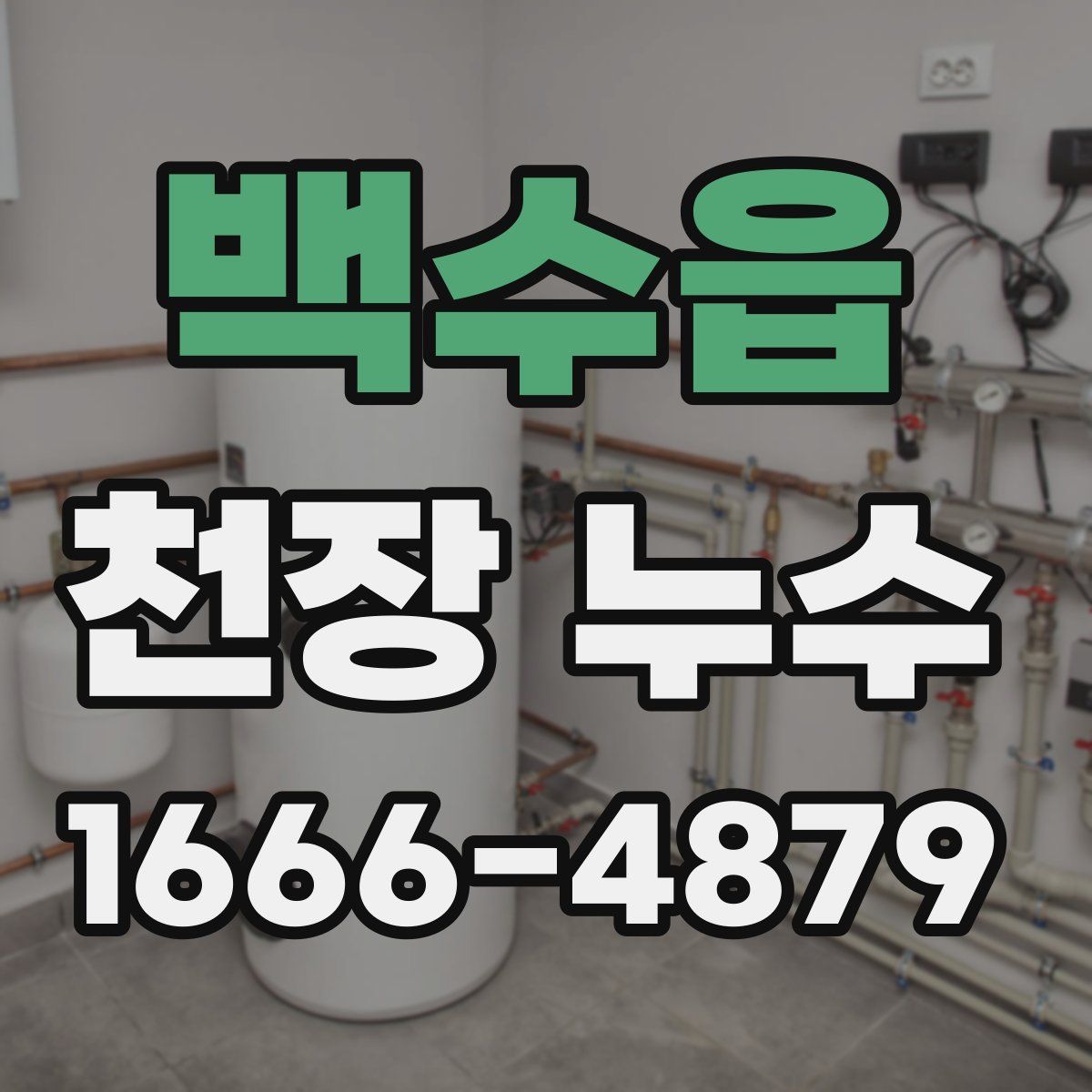백수읍 천장 누수