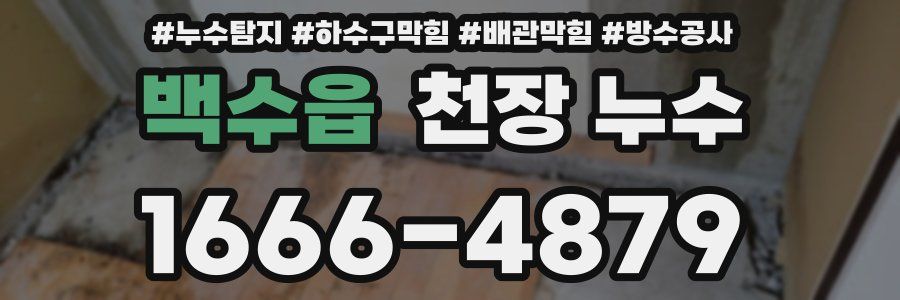 백수읍 천장 누수
