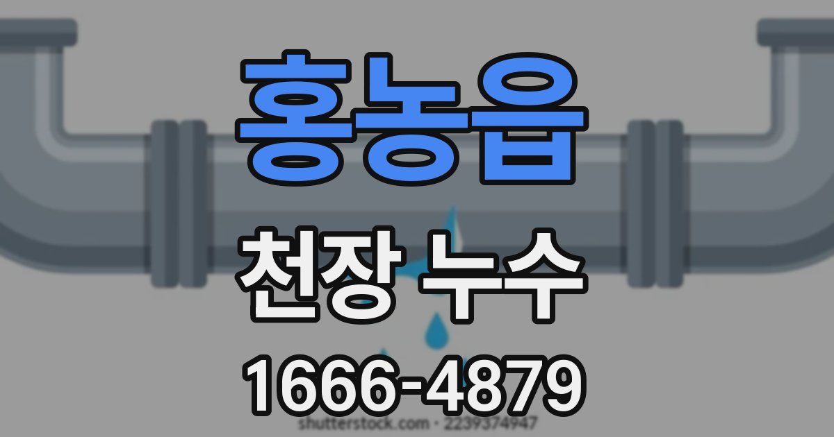 홍농읍 천장 누수