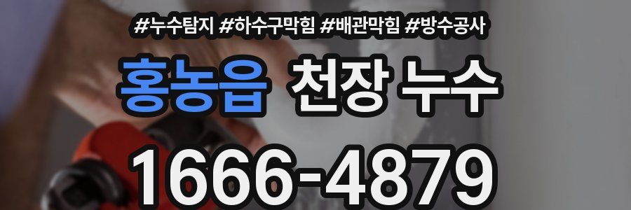 홍농읍 천장 누수