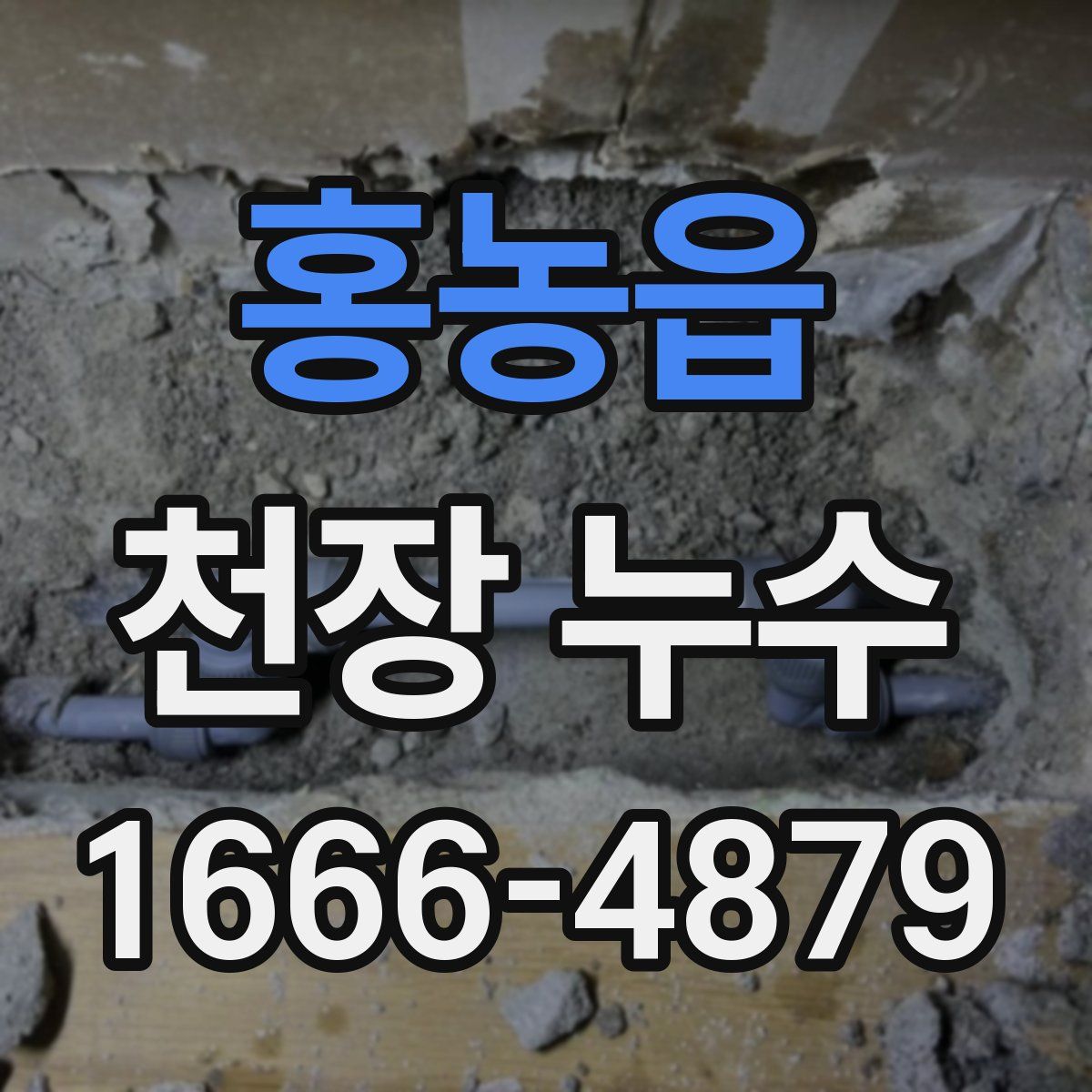 홍농읍 천장 누수